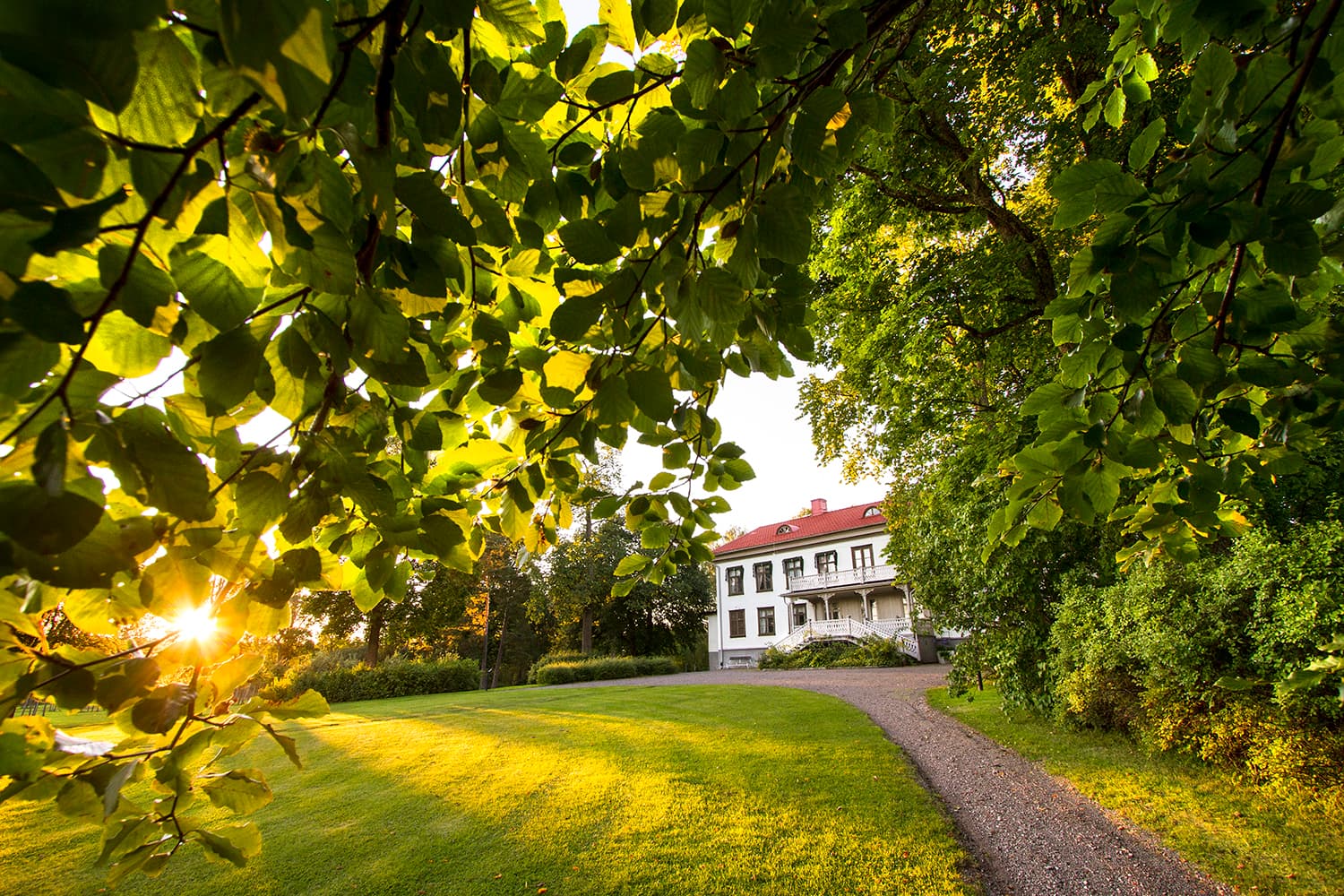 Alfred Nobels Björkborn