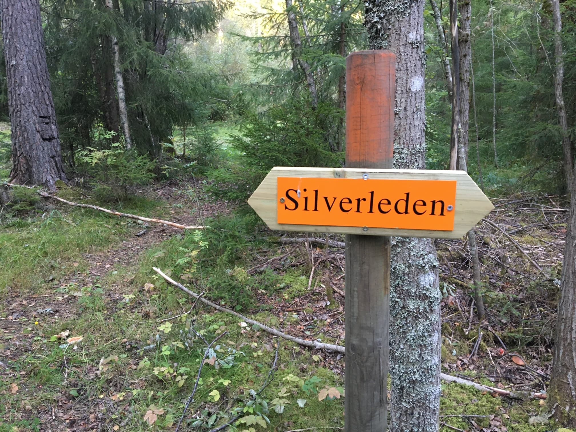 Silverleden