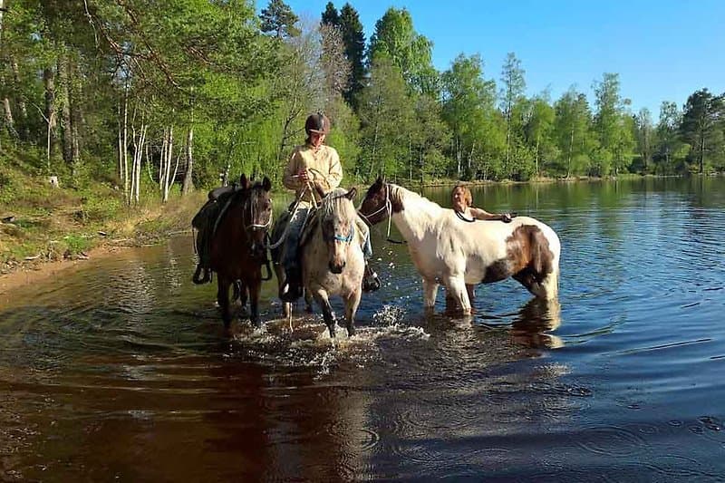 Upptäck Småland från hästryggen