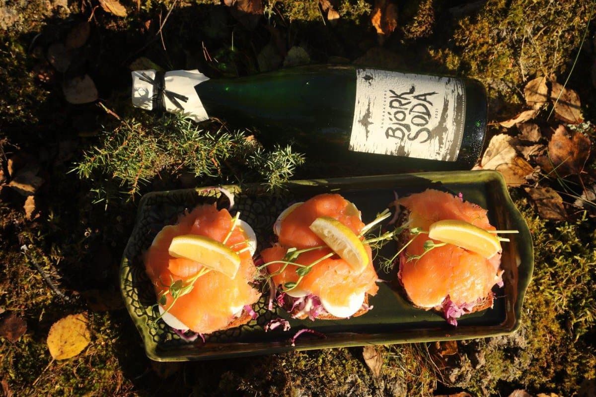 Ängabackens Björksoda