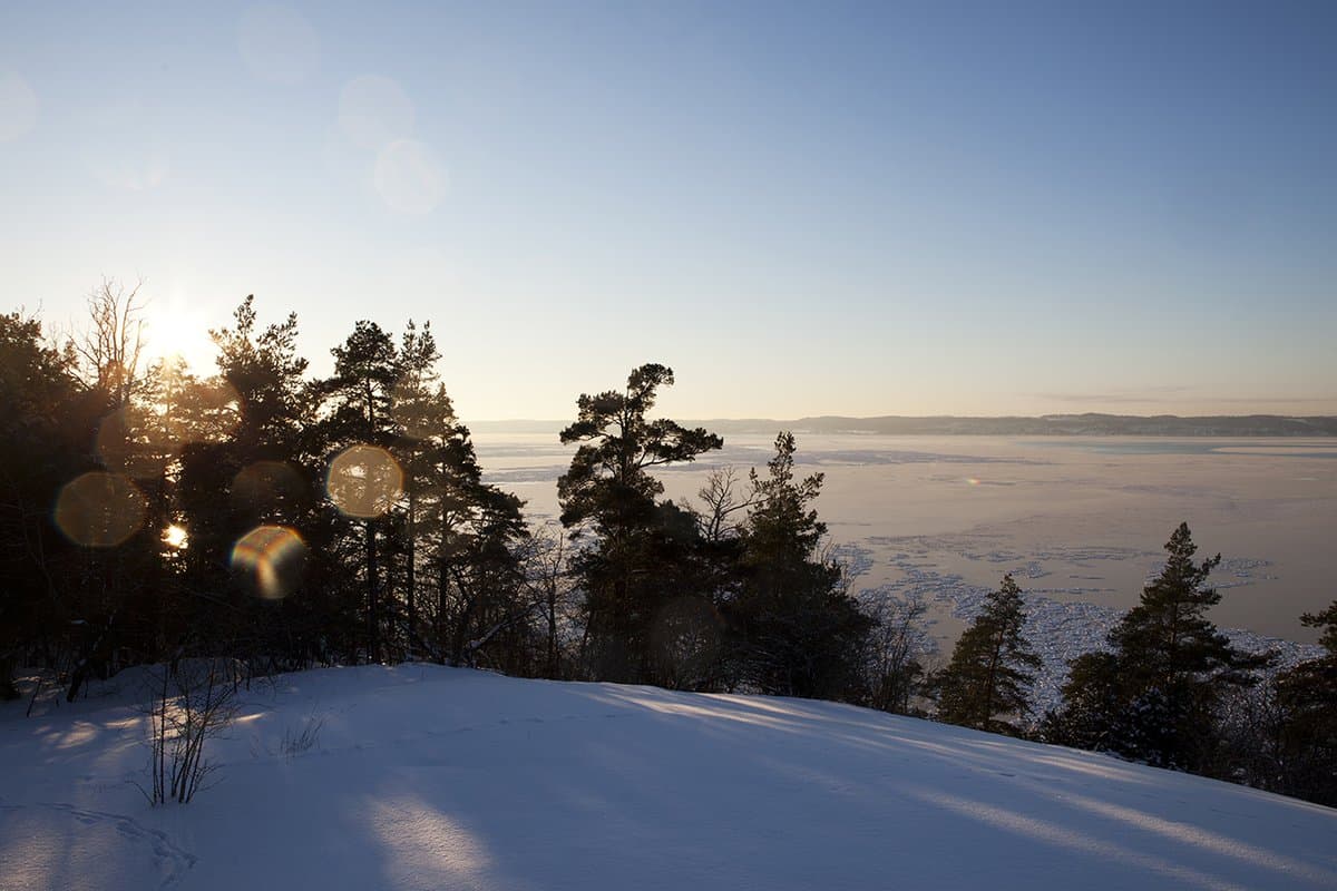 Vista kulle Naturreservat