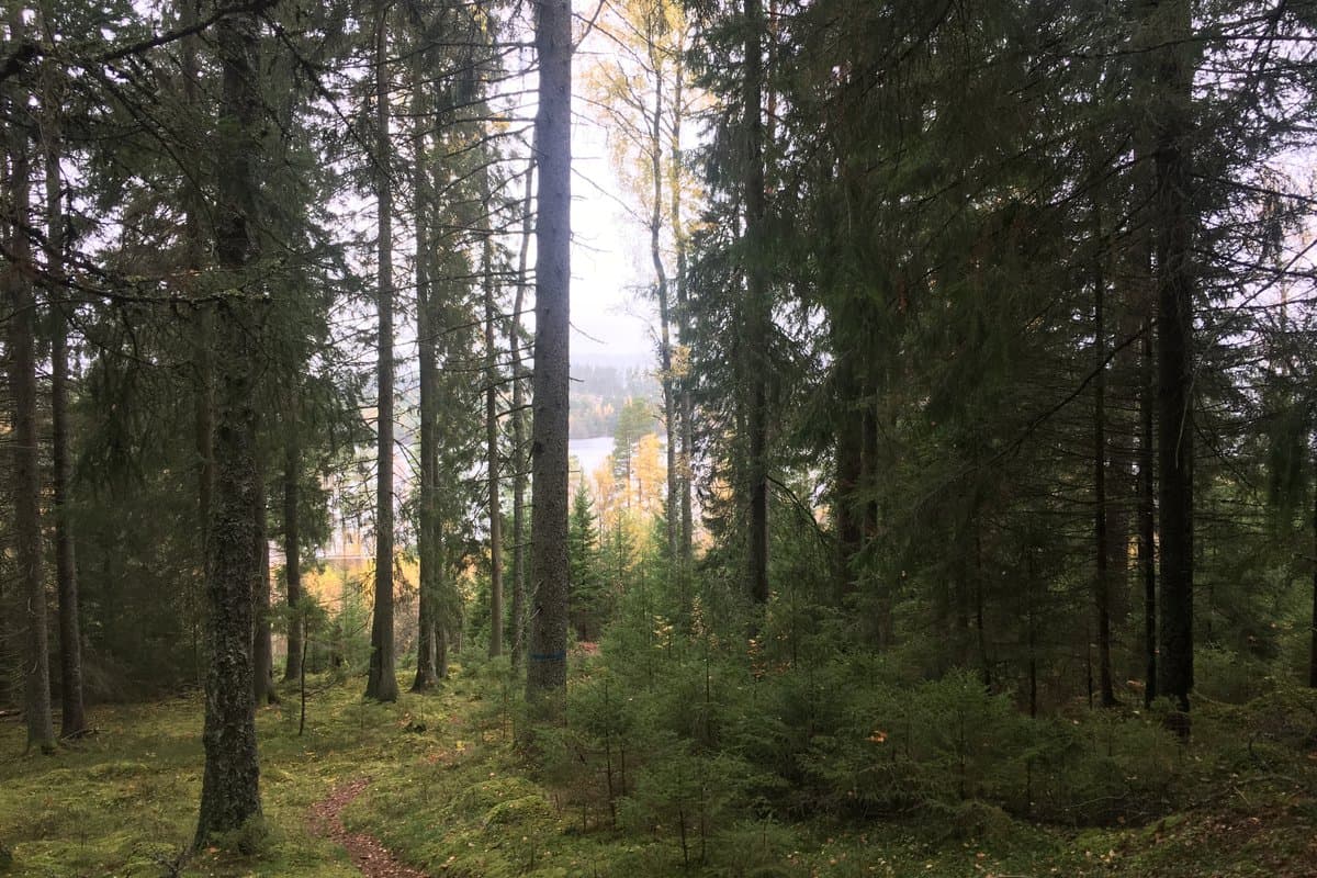 Kolarleden Bottnaryd