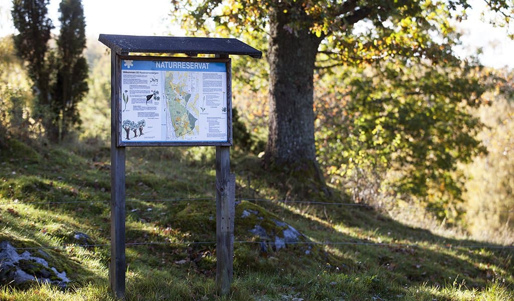 Naturreservatet Huskvarnabergen