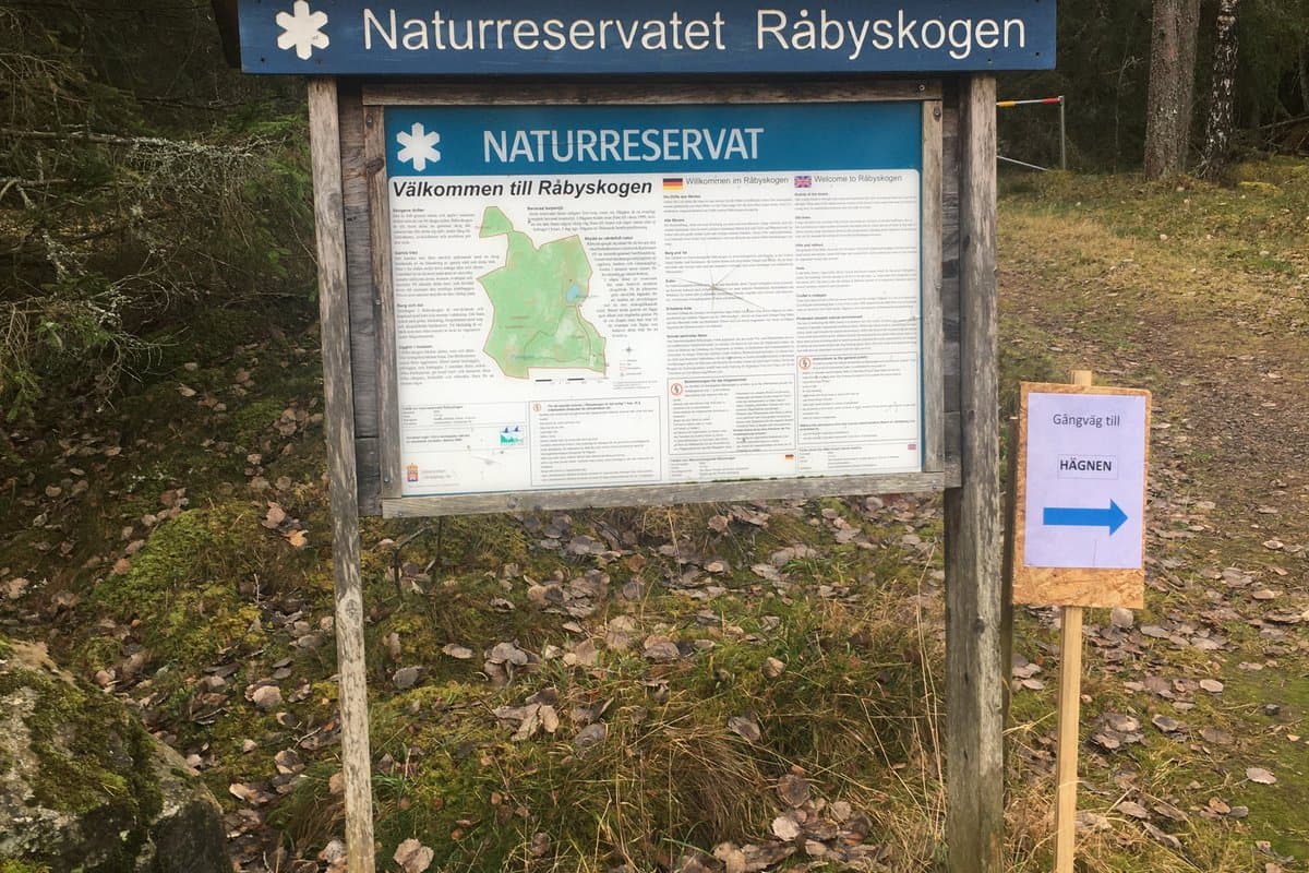 Råbyskogens promenadslinga