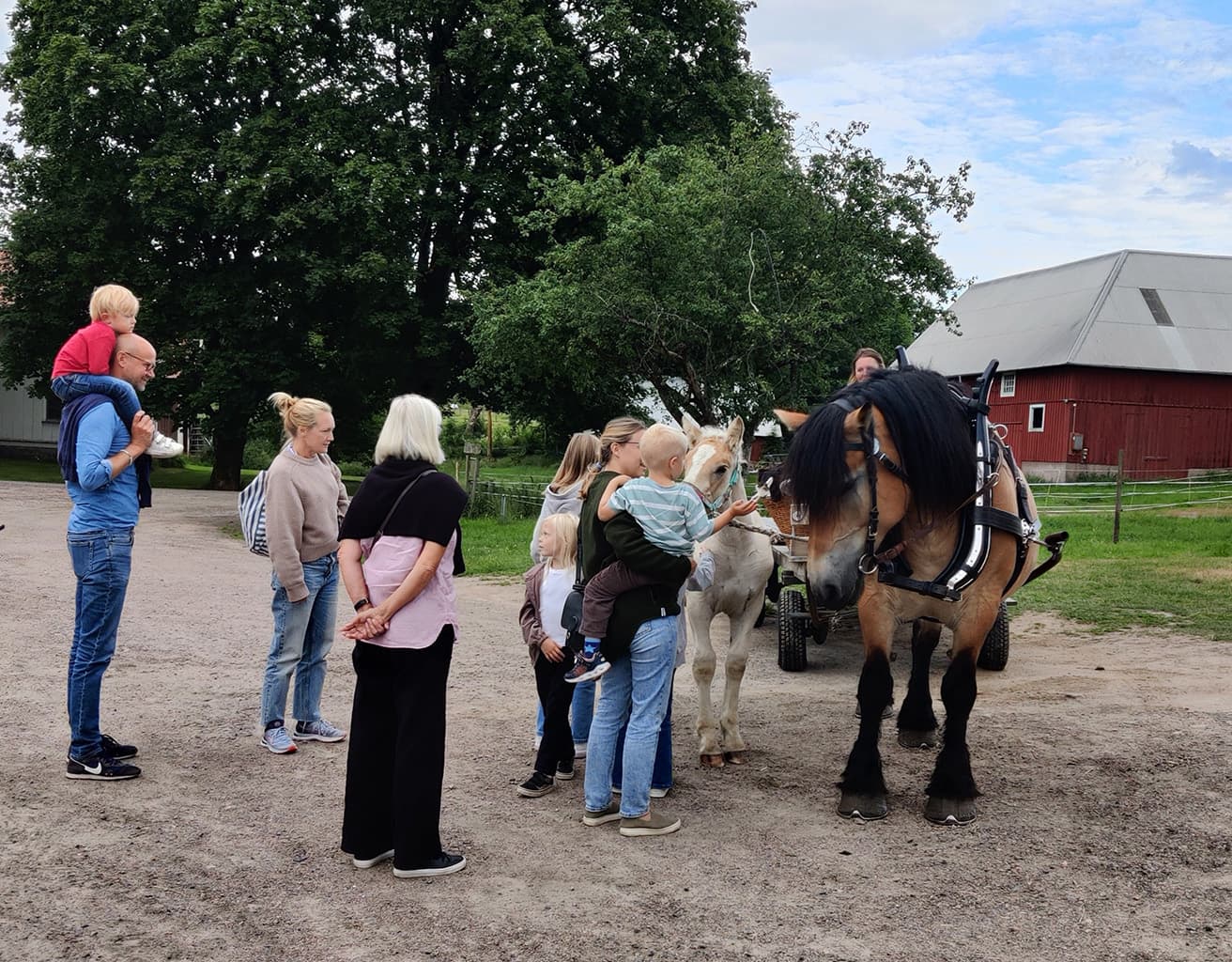 Häst & vagnturer Släthult