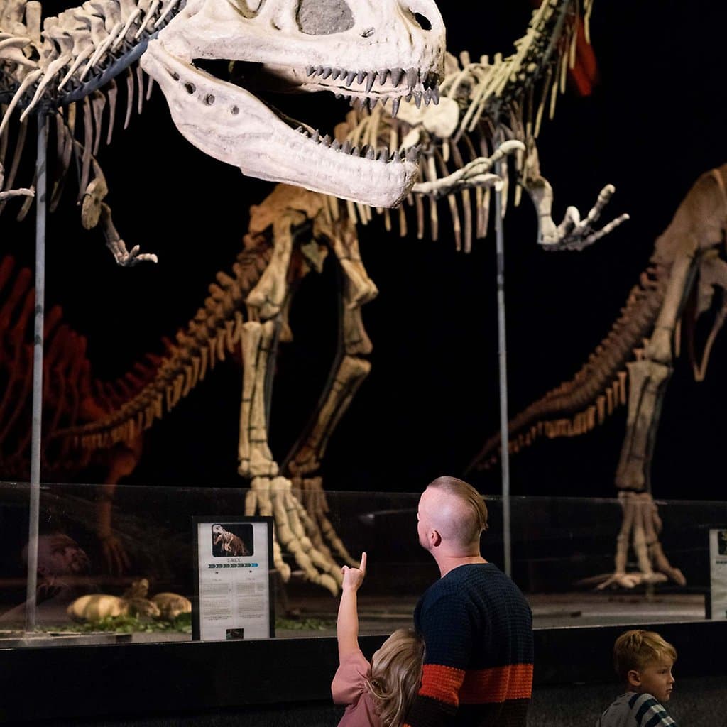 A world of Dinosaurus