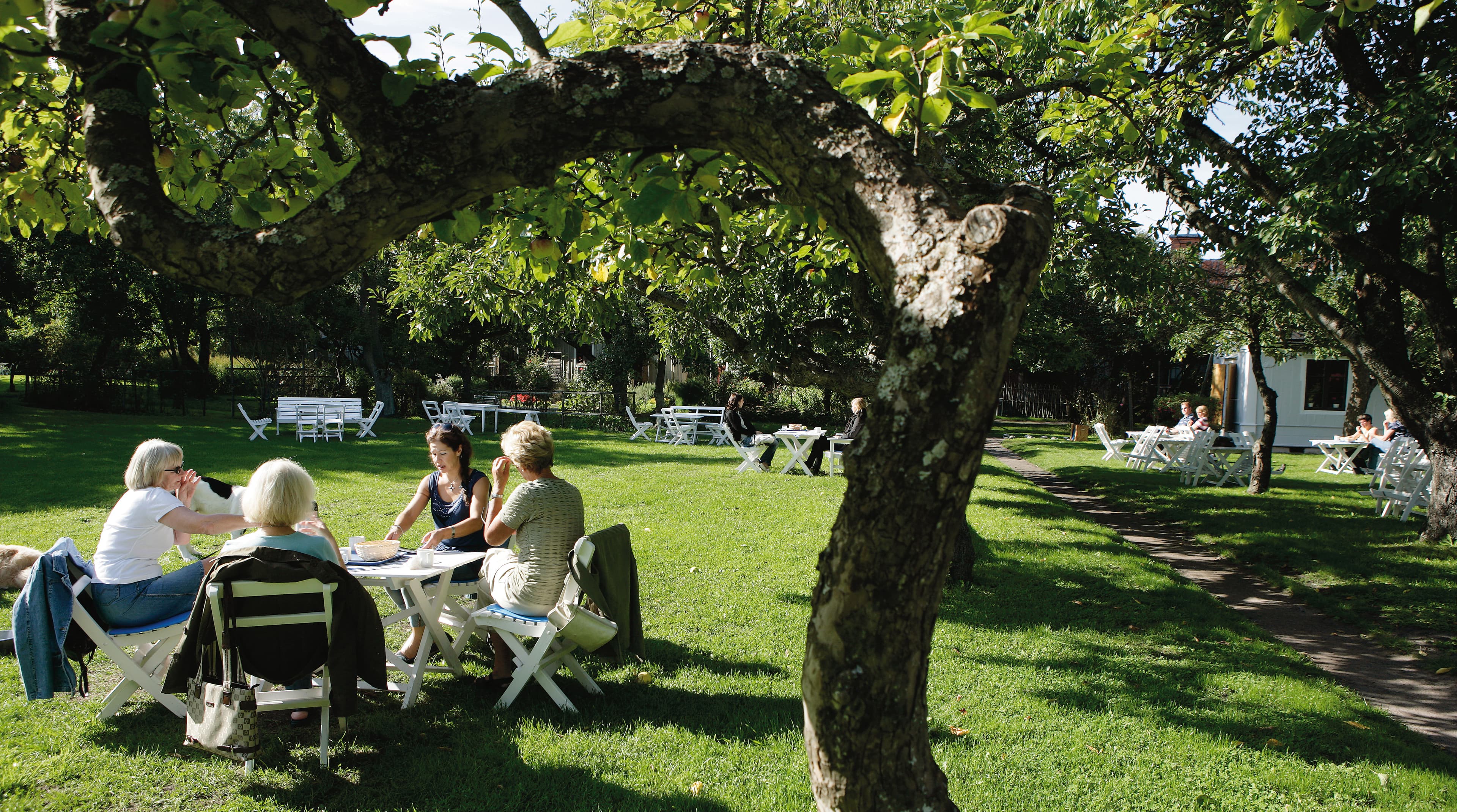 Krusenstiernska Gården