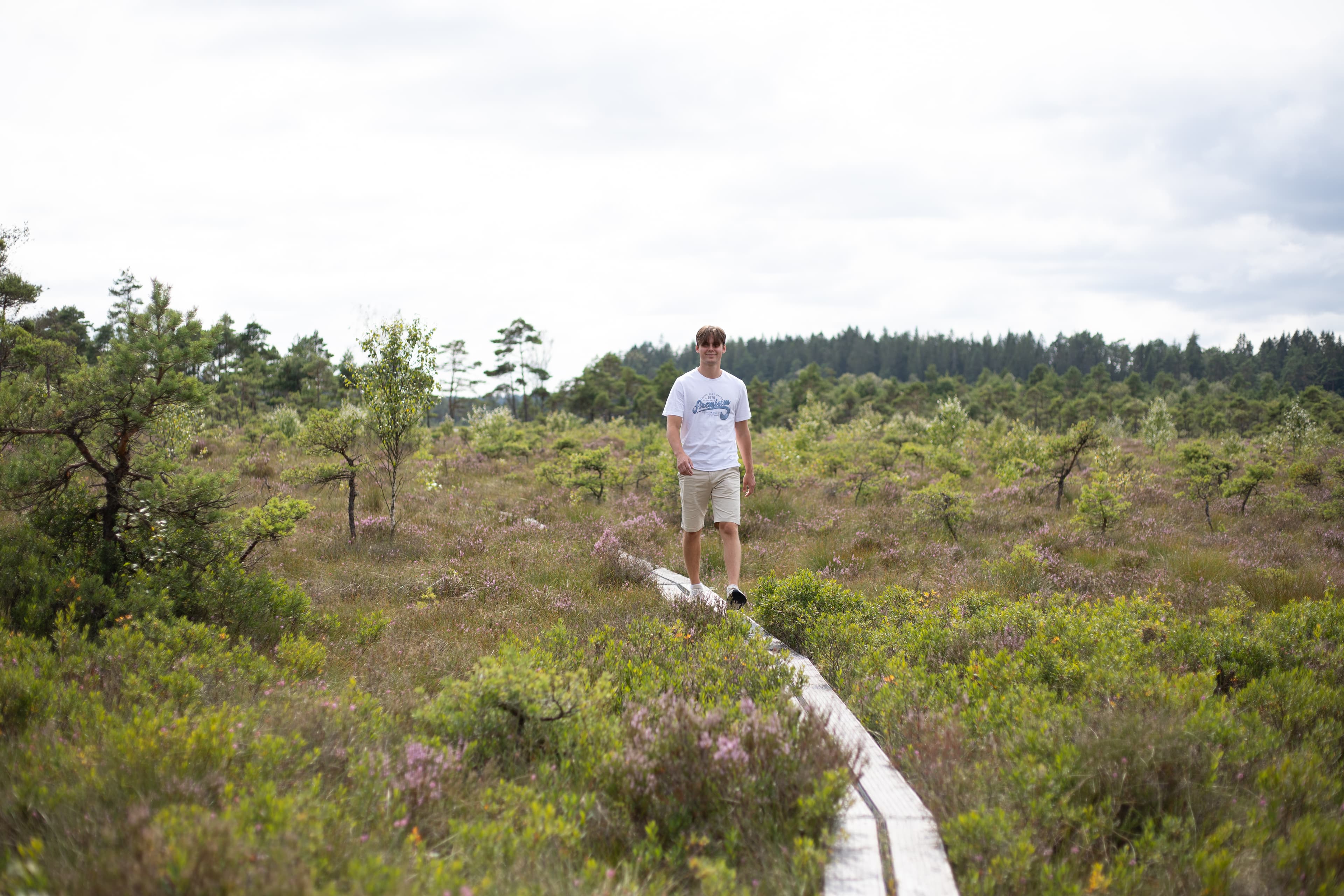 Naturreservat Årshultsmyren