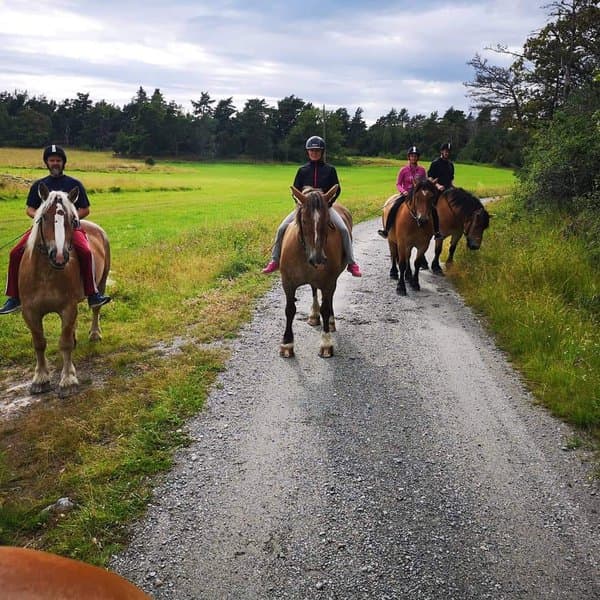 Turridning i vackra Ängsö
