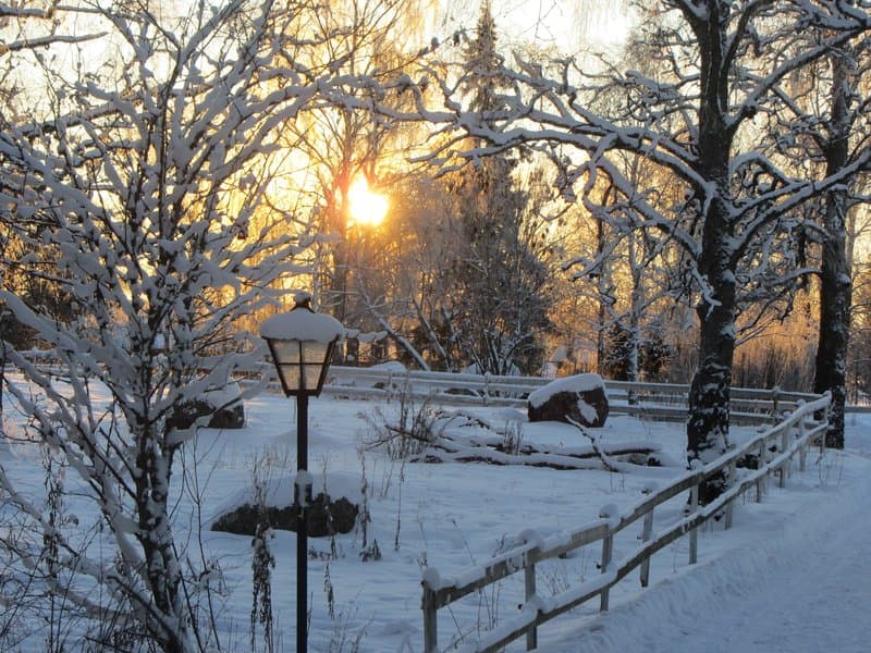 Vintermys på landet