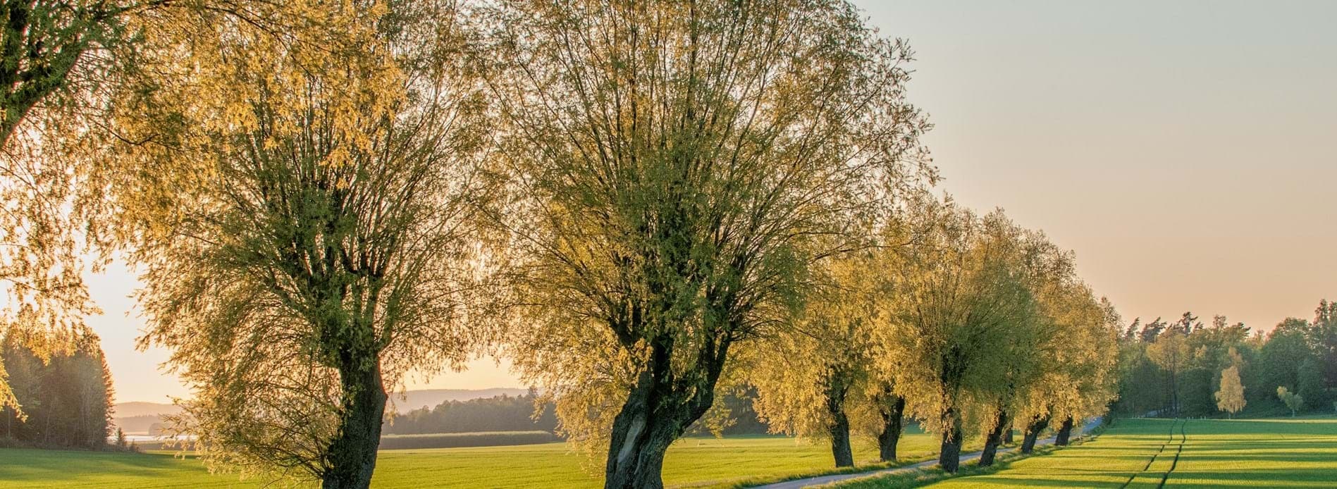 Östgötadagarna - Vår och Höst!