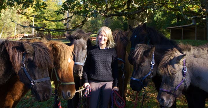Stålarps Islandshästar
