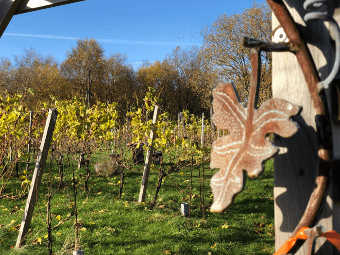 Luna Vingård & Restaurang