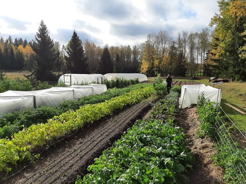 Vegerbols Grönsaksgård