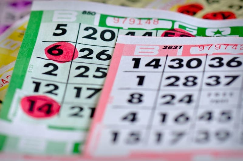 Bilbingo Tallmovallen