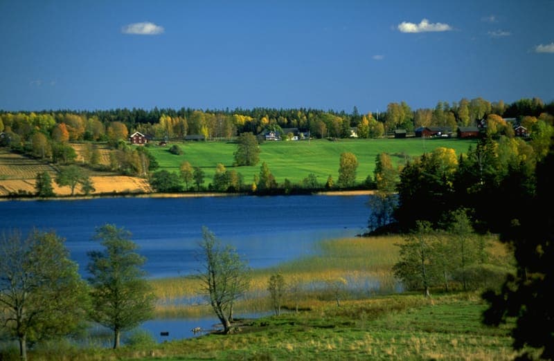 Långseruds Loppmarknad