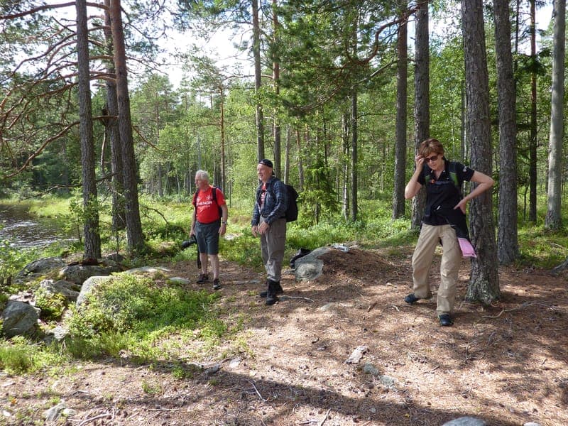 Spinnhjulet Lägenhet