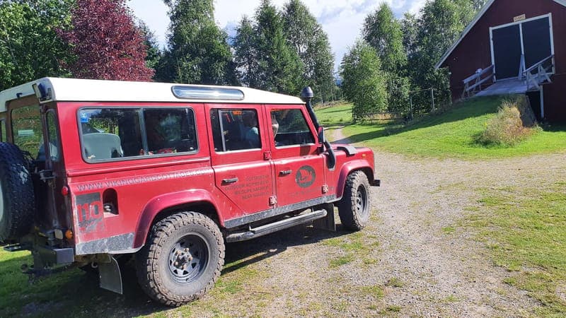 Älg och vildliv VIP safari