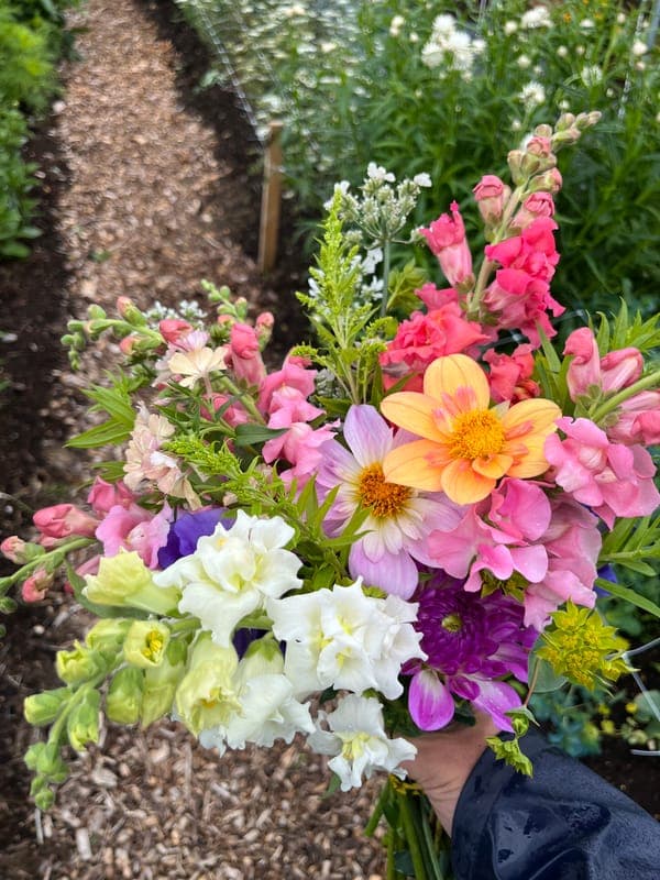 Grönsaksförsäljning och blomsterplock