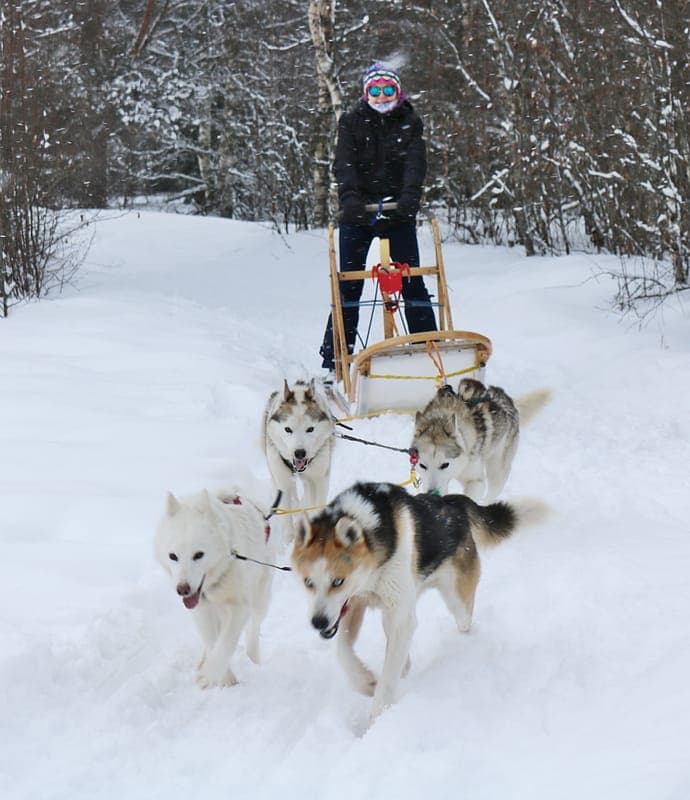 Highyard Sleddogs Adventure