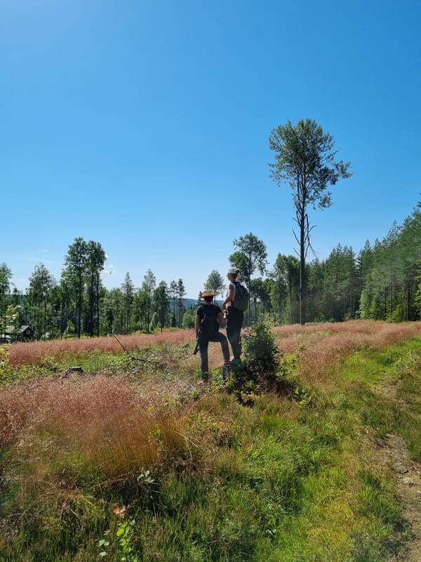 Vandringspaket - Guesthouse Eleven