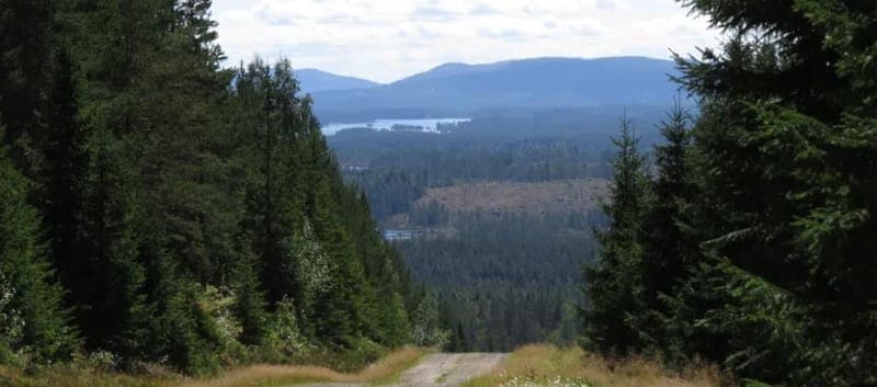 Norra Värmland turen - Rawhides guiding company