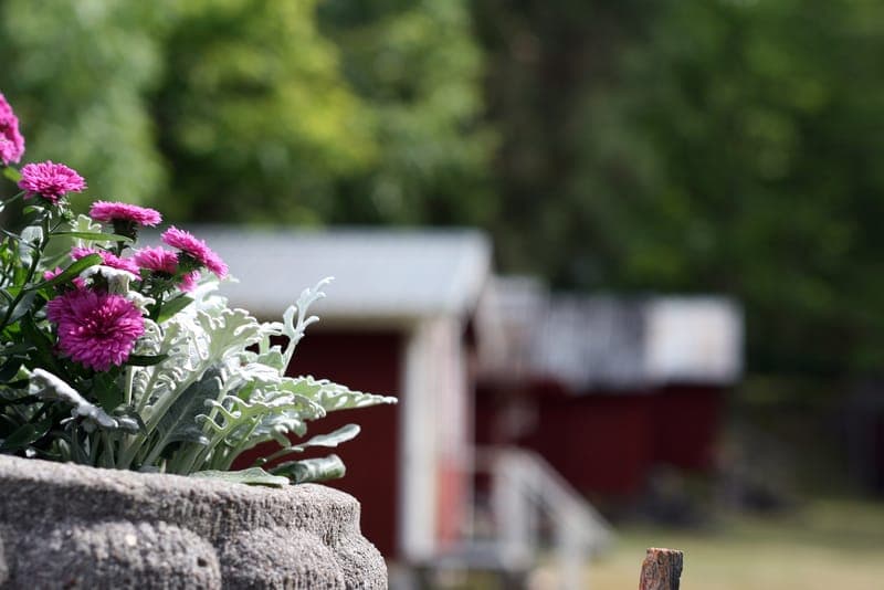 Värmskogs Vandrarhem
