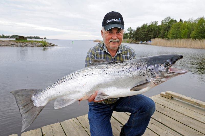 Trollingfiske Hammarö