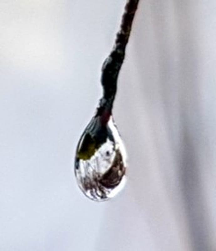 Annorlunda Ögonblick - Kristina Billinger