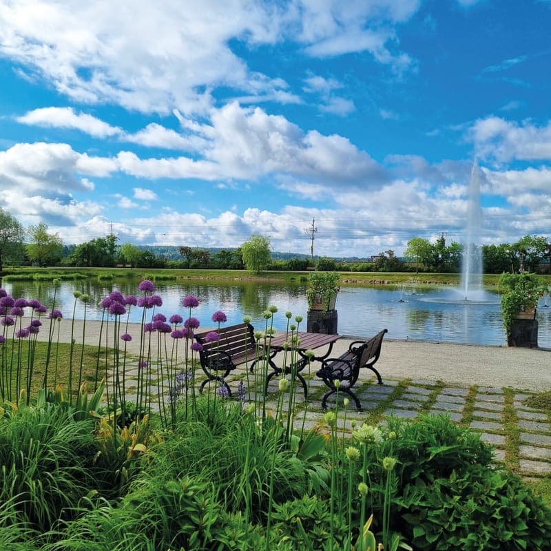 Kulturpaket - Ingestrands Camping