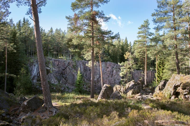 Sveafallen - Ronja Rövardotter och alla andras skog