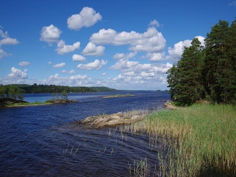 Lägerplats 17 Getöarna - Foxen