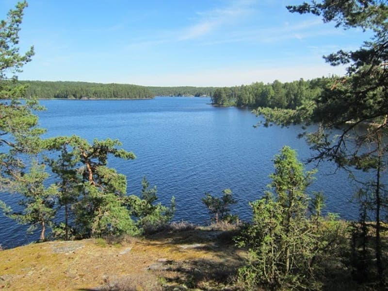 Lägerplats 19 Bärön - Foxen