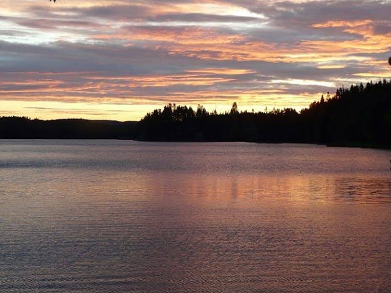 Lägerplats 20 Upprann Öst - Foxen