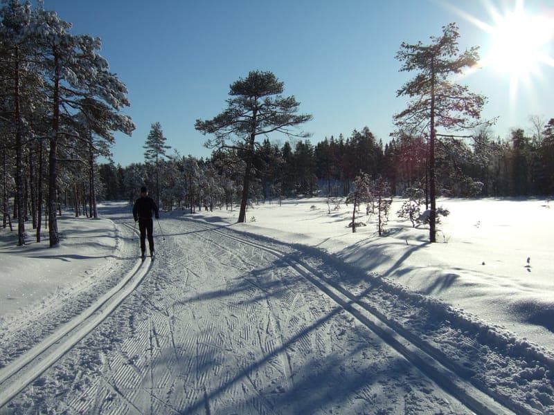 Längdskidor i Årjängs kommun