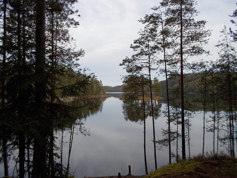 Lägerplats 30 Hagholmen - Nedre Blomsjön