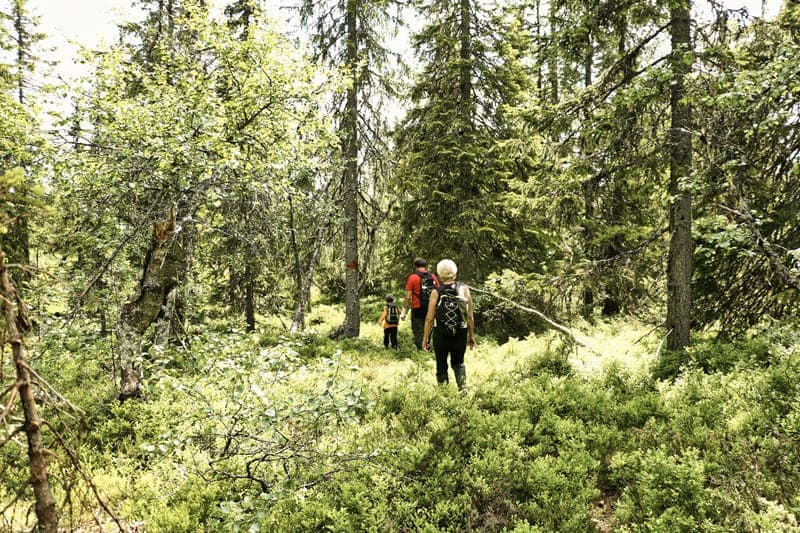 Sillebottens Natur- och kulturstig