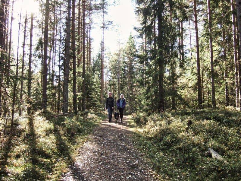 Vandringspaket hos Silleruds Station