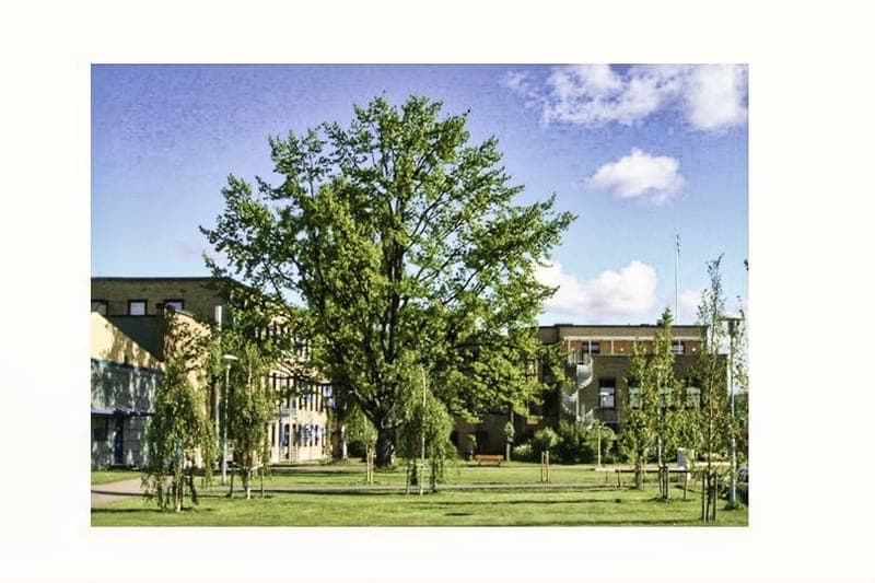 Arvika Näringslivscentrum