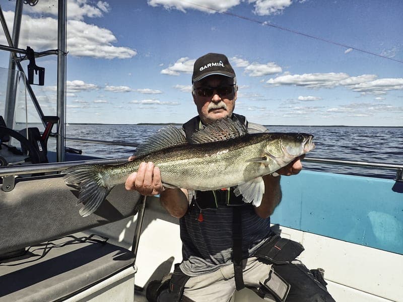 Fisketurer, Hammarö Trolling