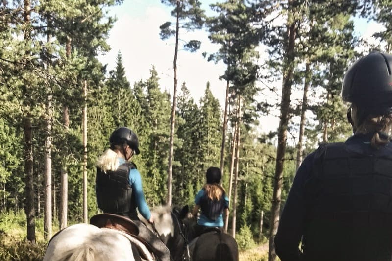 Turridning i Glaskogen