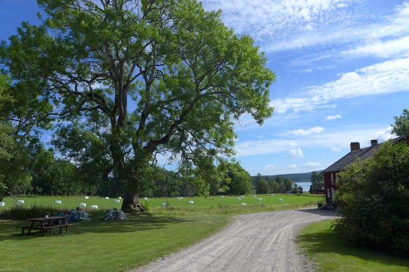 Sölje Bygdegård och museer samt republiken Åsen