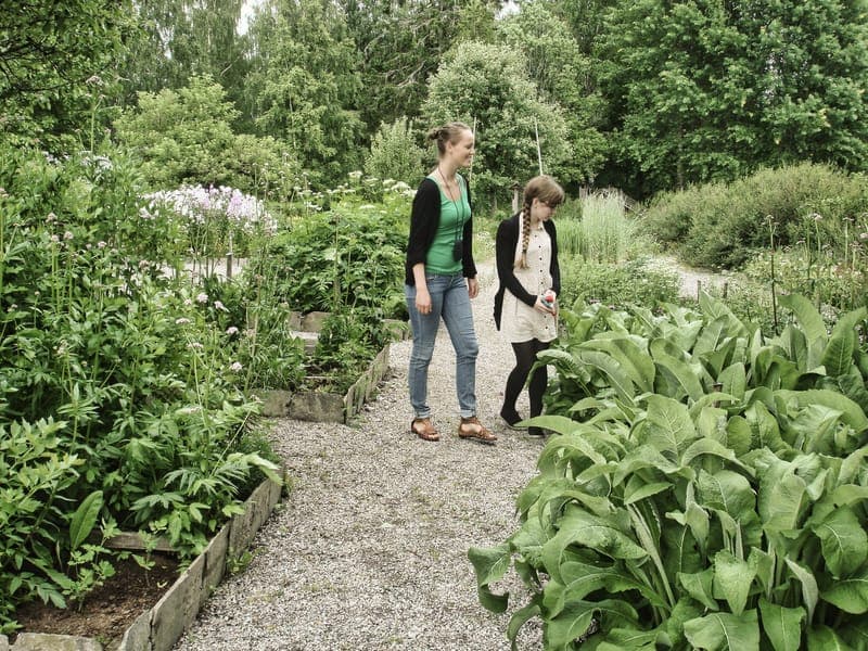 Örtagården vid Glava Hembygdsgård