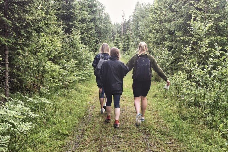 Promenadslingan i Glaskogen