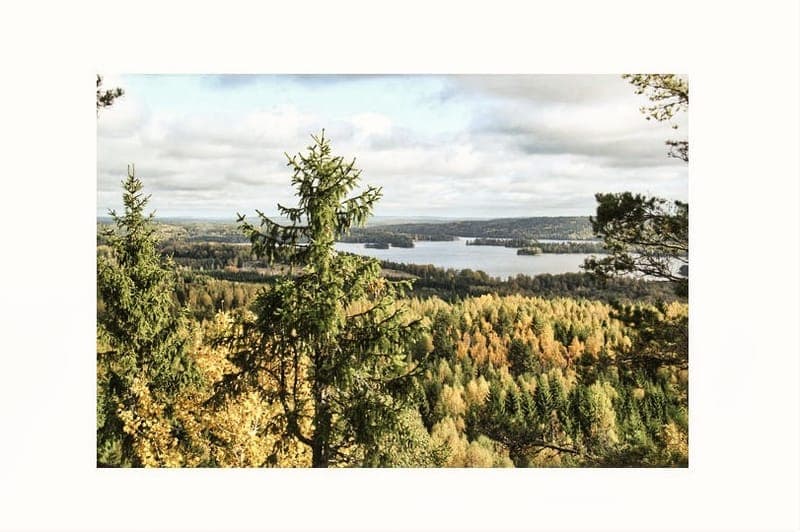 Gårdsviksfjällets naturreservat