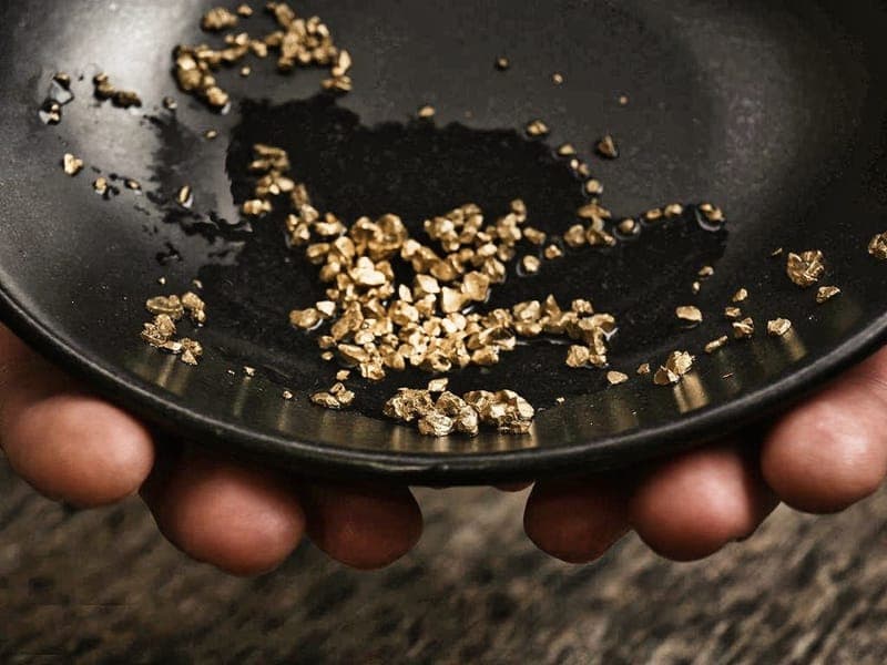 Guldvaskning i Arvika