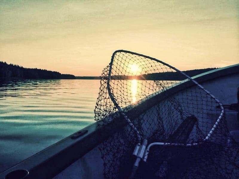 Bortan-Häljeboda FVOF