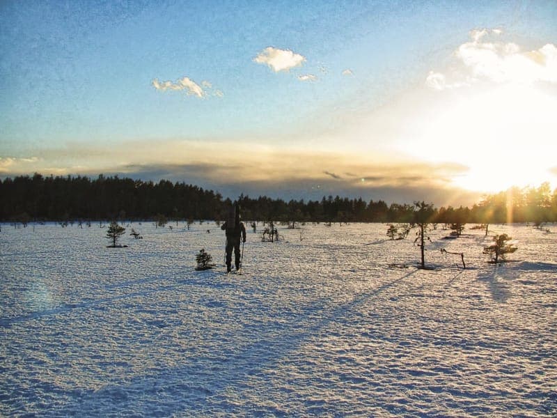 Guidad turskidåkning