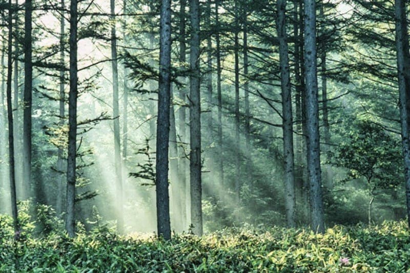 Perseruds naturreservat