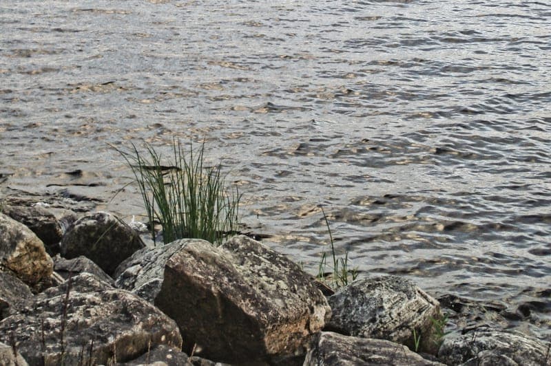 Fjällsjön - Öjenässjöns FVOF